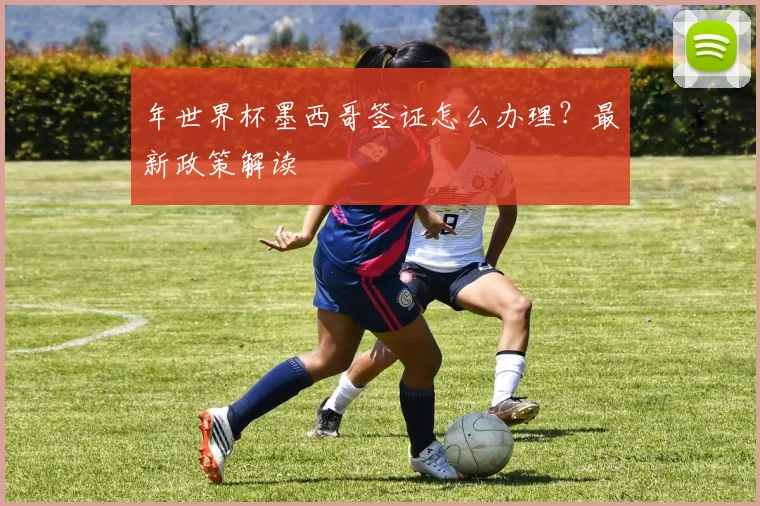 年世界杯墨西哥签证怎么办理？最新政策解读